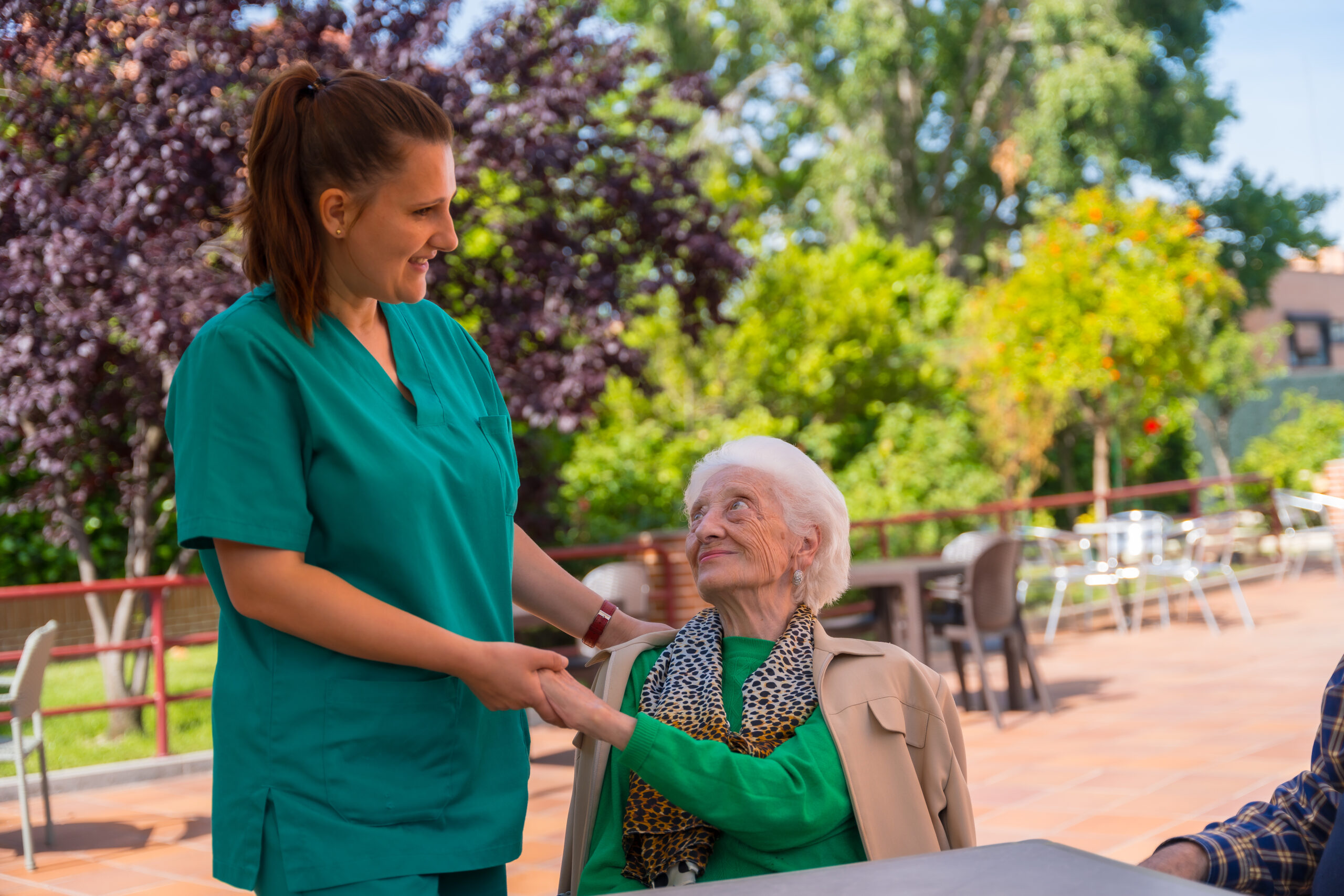 Companion for Seniors